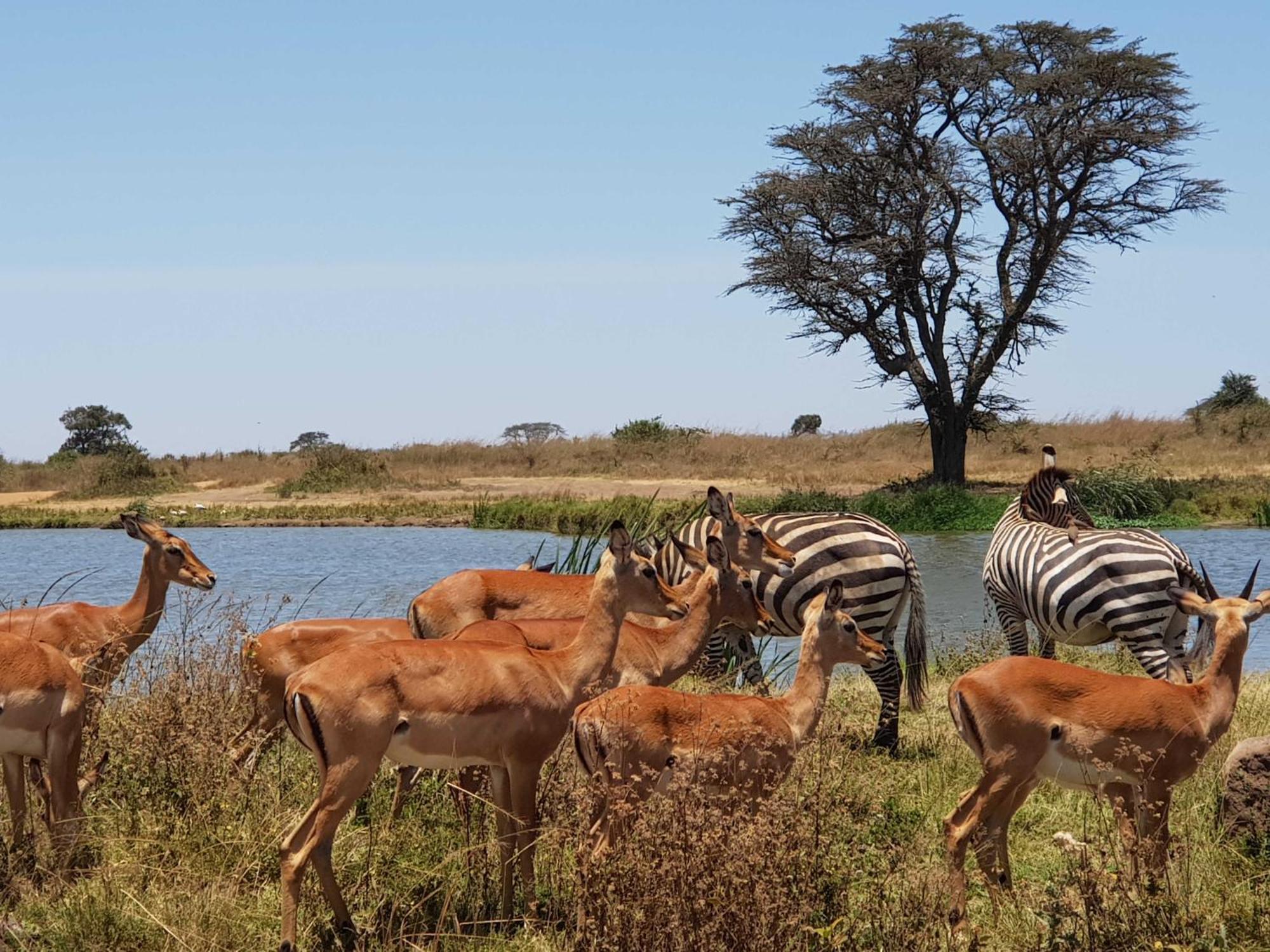 Teresita Home Jkia Nairobi Luaran gambar