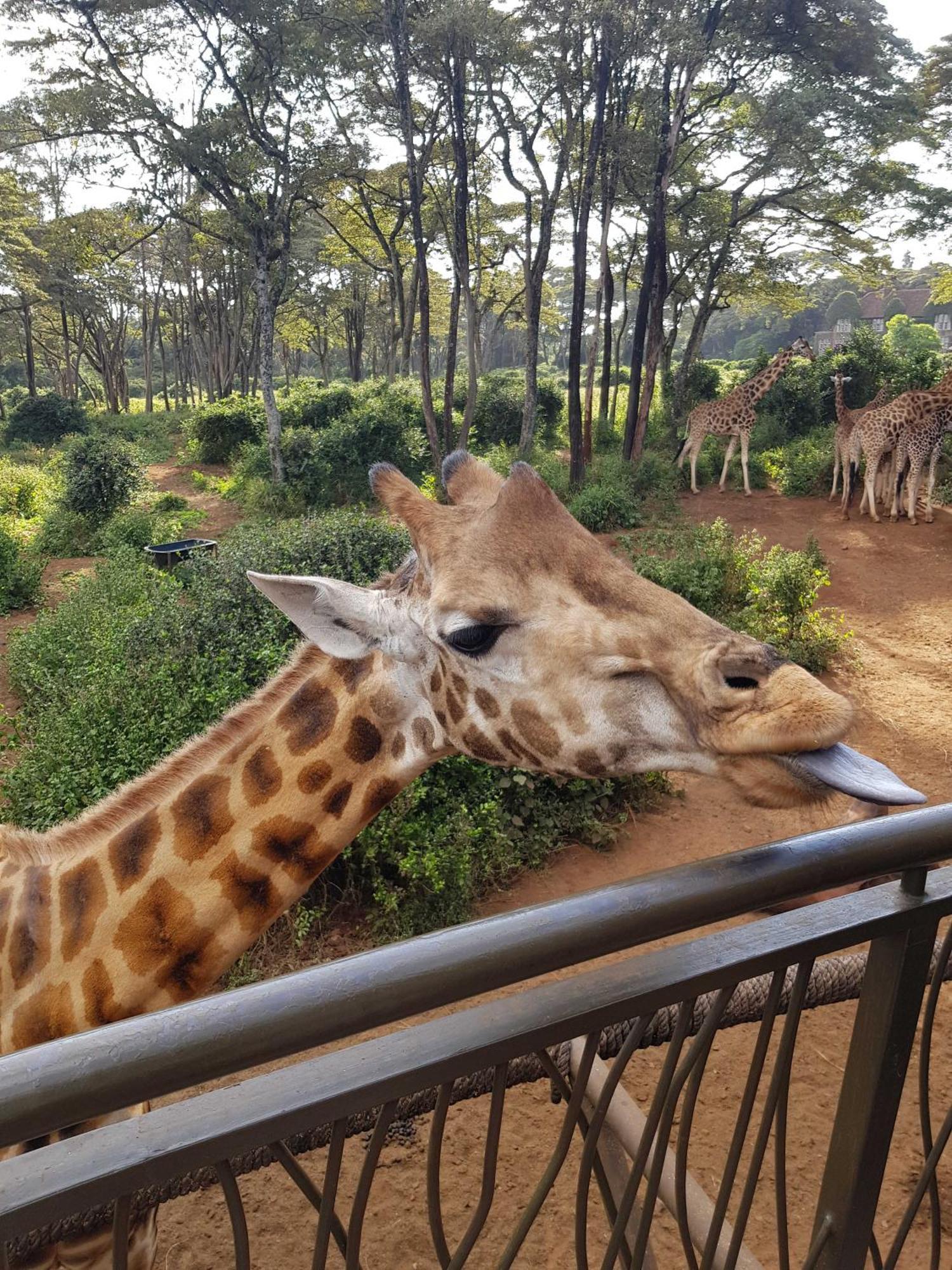 Teresita Home Jkia Nairobi Luaran gambar